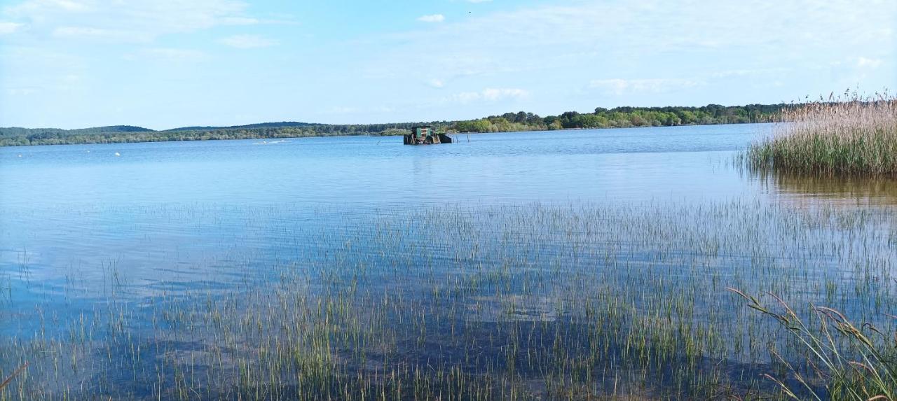 Les Terrasses Du Lac Piscine Et Vue Lac A4 Aureilhan  Esterno foto