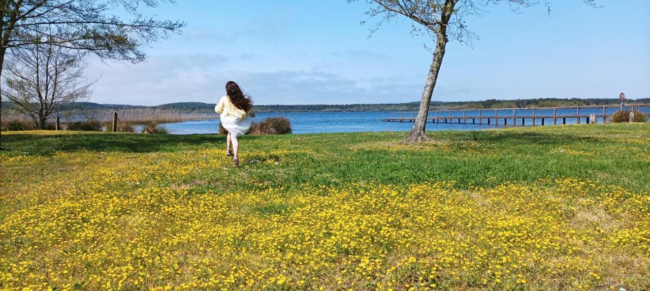 Les Terrasses Du Lac Piscine Et Vue Lac A4 Aureilhan  Esterno foto