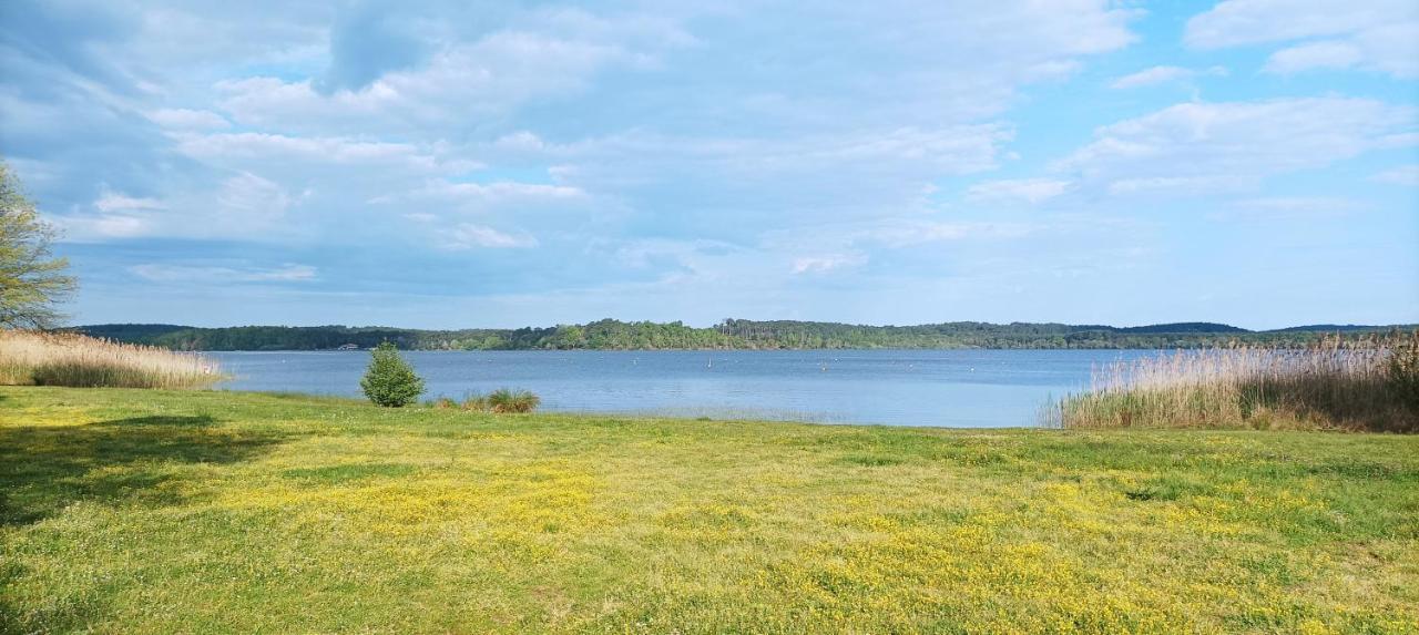 Les Terrasses Du Lac Piscine Et Vue Lac A4 Aureilhan  Esterno foto