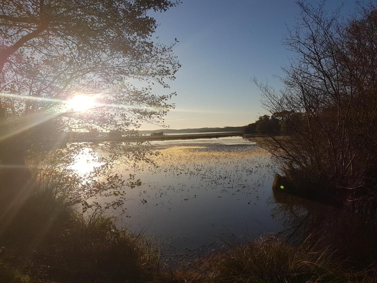 Les Terrasses Du Lac Piscine Et Vue Lac A4 Aureilhan  Esterno foto